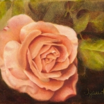 La rose
