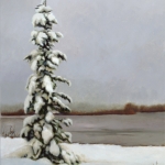 Winter Tranquility